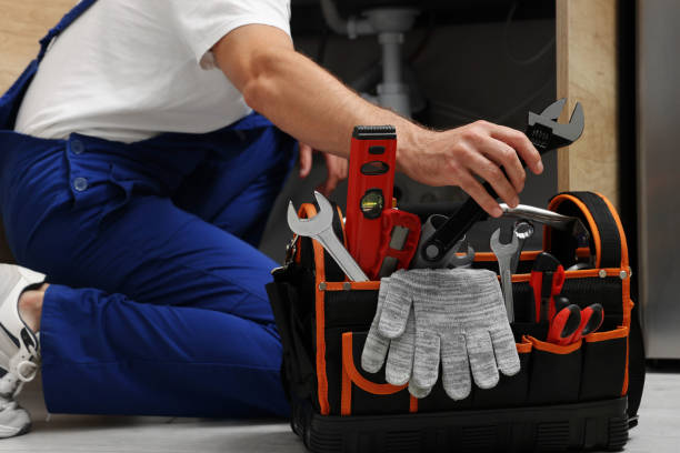 Best Clogged Drain Plumber  in Lakeview, OH
