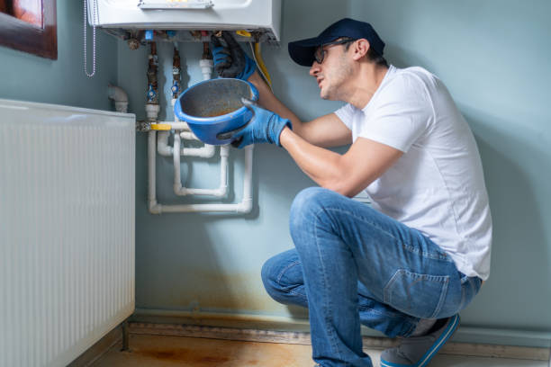 Best Plumbing Inspection Services  in Lakeview, OH